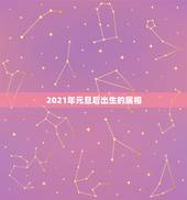 2021年元旦后出生的属相，阳历2021年1月出生的宝宝属什么
