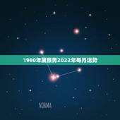 1980年属猴男2022年每月运势，肖猴2022年运势如何
