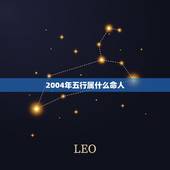 2004年五行属什么命人，2004年属猴人五行缺什么