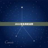 2022年生肖蛇运势，属蛇未来5年运势走向