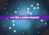 1987属兔人的婚姻与命运如何，属兔男人的婚姻与爱情