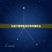 九这个数字在五行中代表什么，数字pcr系统