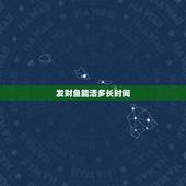 发财鱼能活多长时间，招财鱼可以活多少年？