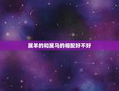 属羊的和属马的相配好不好，属马1978和属羊1991
