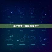 两个虎生什么属相孩子好，两个人都数虎生什么属相的宝宝好