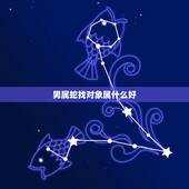 男属蛇找对象属什么好，蛇男最宠哪个生肖女