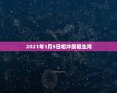 2021年1月5日相冲属相生肖，2021年1月份出生的宝宝是什么属相