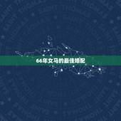 66年女马的最佳婚配，66年属相和什么配最好