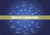 属狗的和什么属相最不最配，属狗男和什么属相最配和什么属相不和？