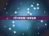 1975年女兔一生怎么样，1975年属兔人的命运