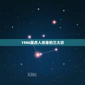 1986属虎人终身的三大坎，86年属虎的女，今年的婚姻怎么样。