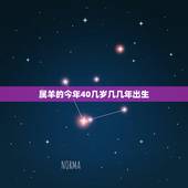 属羊的今年40几岁几几年出生，属羊今年几岁？