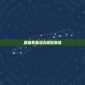 属猴男最适合婚配属相，男的属猴的婚配什么生肖