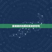 属相猪的和属蛇属龙的好吗，属龙女和属蛇男属性能到一起吗，