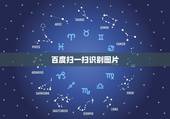 百度扫一扫识别图片，怎样使用手机扫一扫识别植物