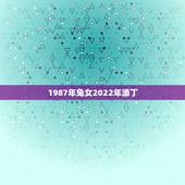 1987年兔女2022年添丁，87年兔2022 年会添宝宝吗