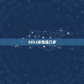 2022年兔是几岁，2022年属兔人的全年运势