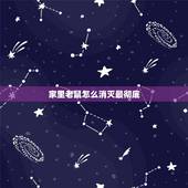 家里老鼠怎么消灭最彻底，家里有只老鼠怎么消灭