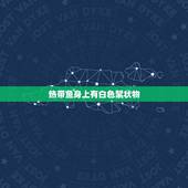 热带鱼身上有白色絮状物，鱼粪便中有白色丝状物，病态？