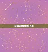 猪和兔的婚姻怎么样，属猪和属兔女婚姻状况