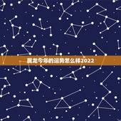 属龙今年的运势怎么样2022，属龙今年每月运势