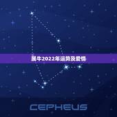 属牛2022年运势及爱情，1997年属牛到2022年桃花运旺不旺