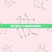 属牛男和什么属相猪女相配吗，属牛男与属猪女配不配