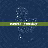 1987属兔人一生的命运好不好，1987年属兔人的命运