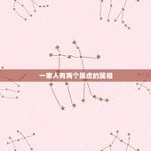 一家人有两个属虎的属相，属虎兔龙蛇的四属象组成一家人好吗’