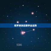 塔罗牌测近期学业运势，塔罗牌占卜学业