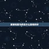 属猪和属马的生什么属相的好，我和老公属马生个属猪的小孩可以吗