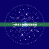 12属相龙的属相婚姻搭配，生肖龙跟什么最配，属龙的属相婚配表