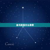 金马奖是什么意思，视后是什么意思