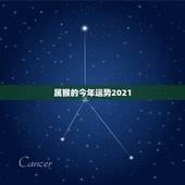 属猴的今年运势2021，1980年属猴今年运程