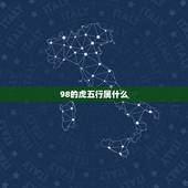 98的虎五行属什么，男猪95年女虎98年姻缘
