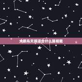 大鹏鸟天珠适合什么属相戴，天珠佩戴禁忌与属相