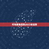 牛年属兔运势2022年运势，牛年属兔运势