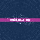 婚配属相合适大于一切吗，婚配说属相不合不易结婚，这些人结婚后真的过不好