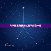 八字姓名免费测试能不能在一起，测下我俩的八字适合在一起吗