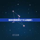 爸数羊妈数猴生个什么属相好，属羊的爸爸属猴的妈妈生属牛的儿子好吗