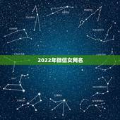 2022年微信女网名，2023年的微信网名女