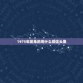 1975年属兔的用什么微信头像，男属兔的人放什么图片最好当头像