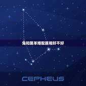 兔和属羊婚配属相好不好，属蛇的最佳婚配是啥属相？