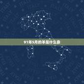 91年5月的羊是什么命，1995年10月13是什么命