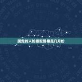 属龙的人的婚配属相是几月份，属龙人最佳婚配