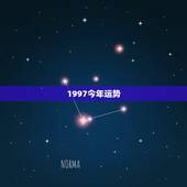 1997今年运势，1997年属牛一生运势