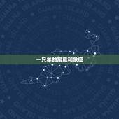 一只羊的寓意和象征，牛的寓意和象征是什么