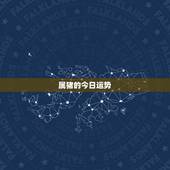 属猪的今日运势，查询一下属猪运气