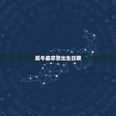 属牛最命苦出生日期，属牛人最苦命出生时辰