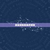 属鼠婚配属相虎婚姻，虎和鼠相配么？